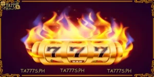 live baccarat game
