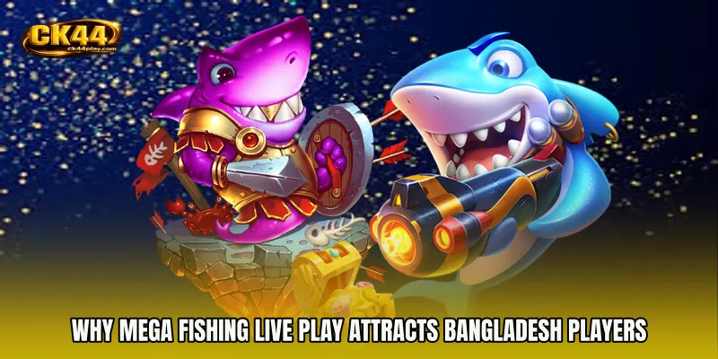 Why Mega Fishing live play Attracts Bangladesh Players